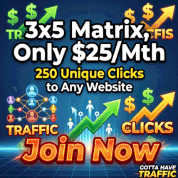 300x250 Banner Ad